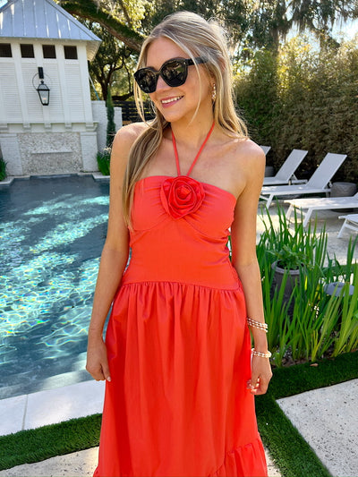 Beautiful Thoughts Halter Neck Midi Dress