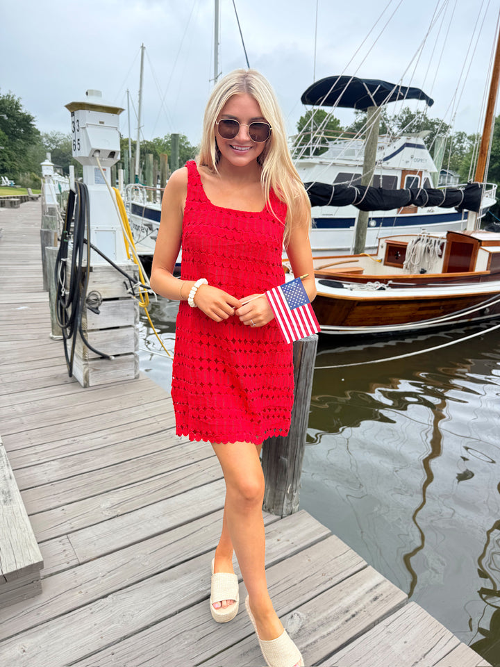 Full Transparency Crochet Mini Dress
