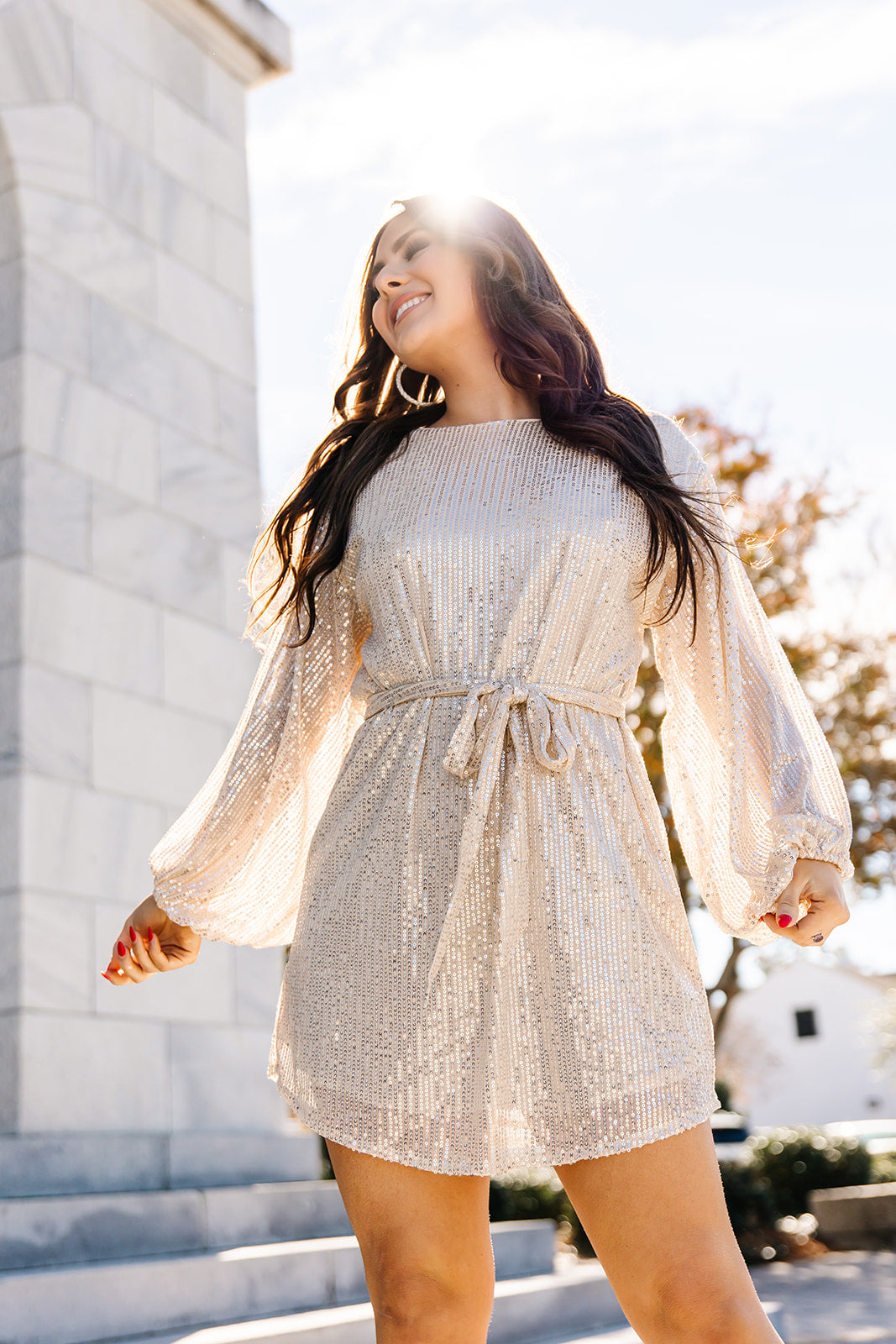 Emmie Sequin Long Sleeve Dress