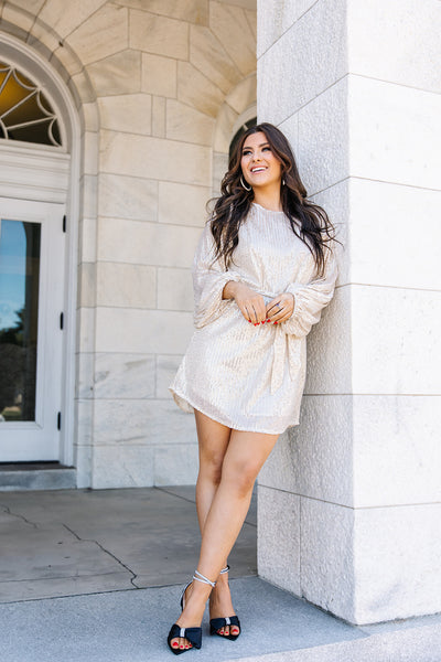 Emmie Sequin Long Sleeve Dress