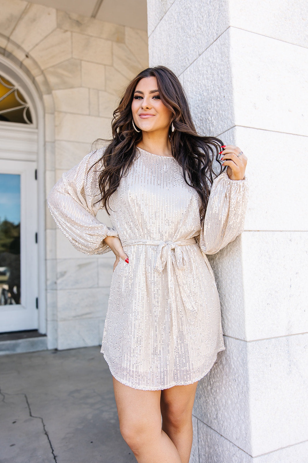 Emmie Sequin Long Sleeve Dress