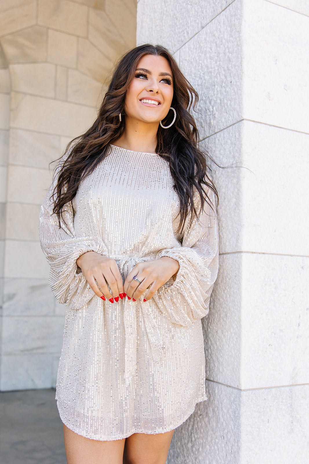 Emmie Sequin Long Sleeve Dress