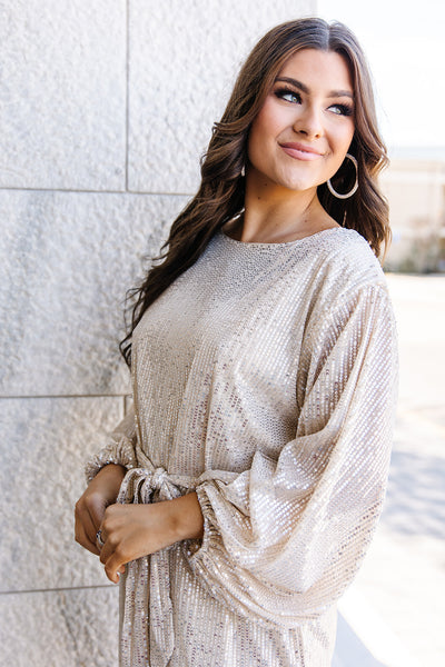 Emmie Sequin Long Sleeve Dress